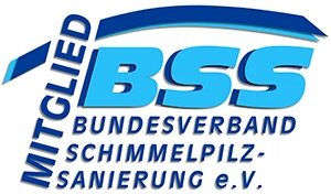 BSS Logo